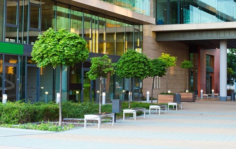 well-maintained grass, bushes and trees in front of a commercial building